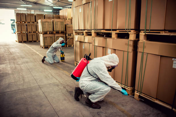 Best Termite Control Services  in Advae, NC