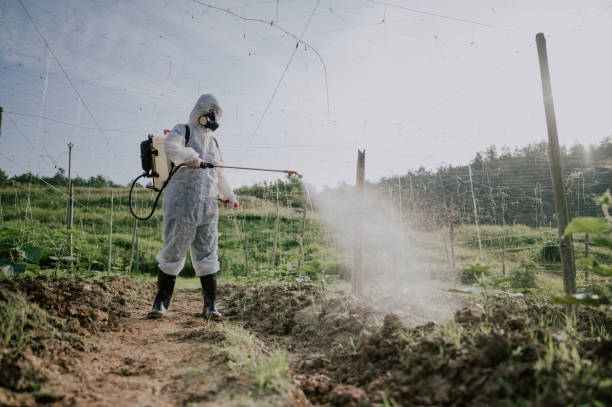 Best Pest Control for Homes  in Advae, NC