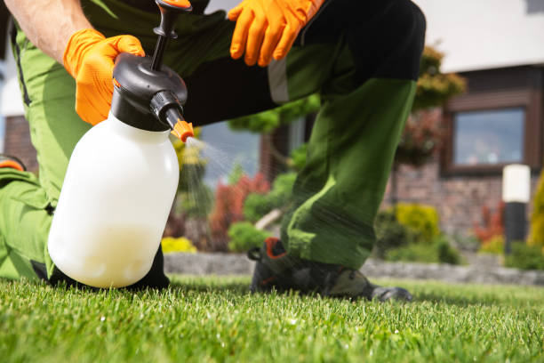 Best Exterminator Services  in Advae, NC