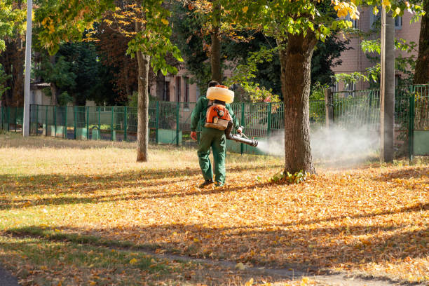 Best Emergency Pest Control  in Advae, NC