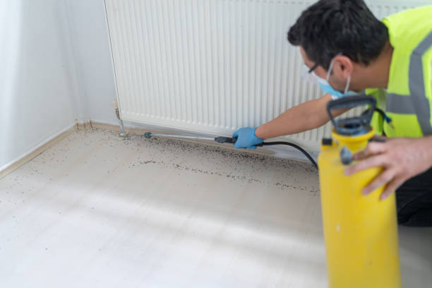 Best Residential Pest Control  in Advae, NC