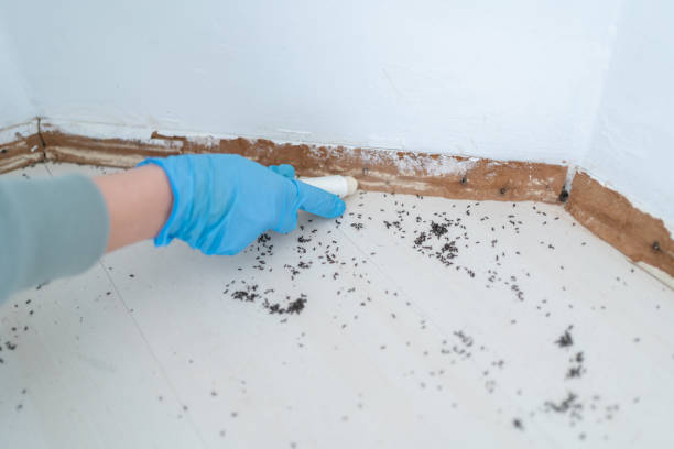 Professional Pest Control in Advance, NC