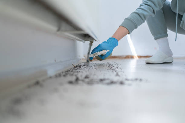 Best Best Pest Control Companies  in Advae, NC